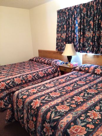 Imagen de la habitación del Motel East Kootenay. Foto 15