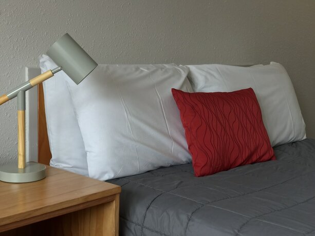 Imagen de la habitación del Motel Edelweiss, Bah&iacute;a de las Islas. Foto 22