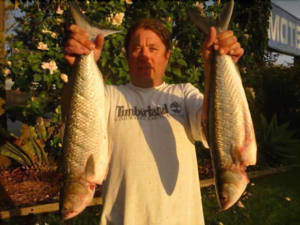 Imagen general del Motel Edgewater Ulladulla. Foto 3