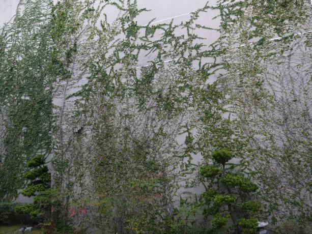 Imagen general del Motel Elan Boutique. Foto 2