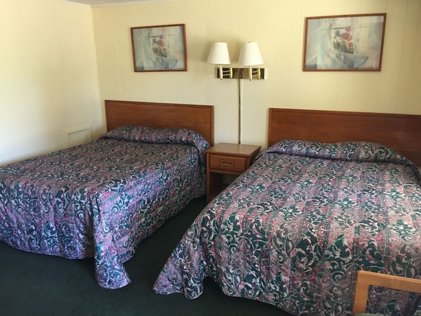 Imagen de la habitación del Motel Elmwood Motor Lodge. Foto 5