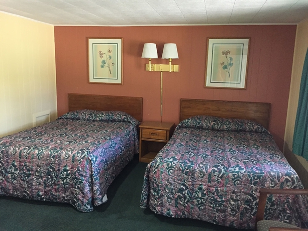 Imagen de la habitación del Motel Elmwood Motor Lodge. Foto 11