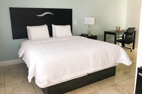 Imagen de la habitación del Motel Everglades City. Foto 6