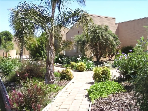 Imagen de los exteriores del Motel Executive Hideaway. Foto 8