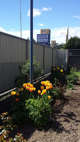 Imagen de los interiores del Motel Fairway and Apartments. Foto 16