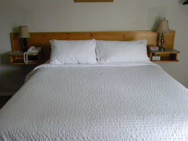 Imagen de la habitación del Motel Fireweed. Foto 5
