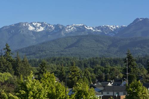 Imagen de la habitación del Motel Flagstone. Foto 2