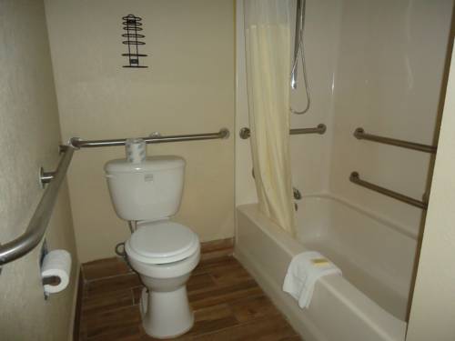 Imagen de la habitación del Motel Flamingo, Okeechobee. Foto 11