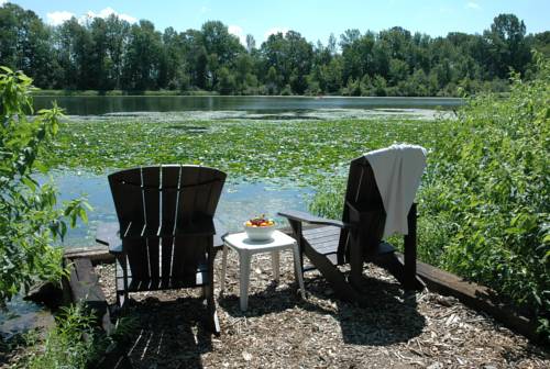 Imagen de la habitación del Motel Forest & Woodland Retreat. Foto 13