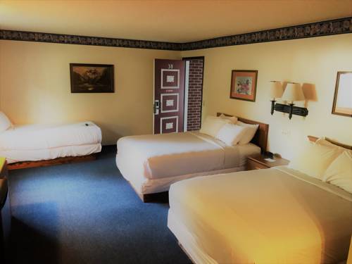 Imagen general del Motel Frankenmuth. Foto 1