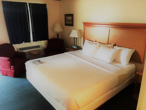 Imagen de la habitación del Motel Frankenmuth. Foto 7