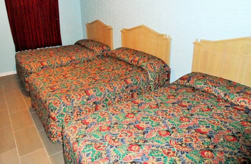 Imagen de la habitación del Motel Franklin Terrace. Foto 14