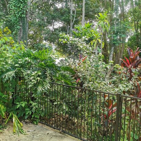 Imagen general del Motel Gallery, Murwillumbah. Foto 2