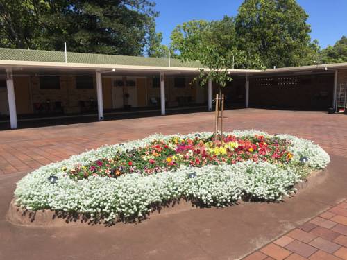 Imagen de la habitación del Motel Glenworth Toowoomba. Foto 6