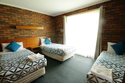 Imagen de la habitación del Motel Golden Palms, Grovedale. Foto 4