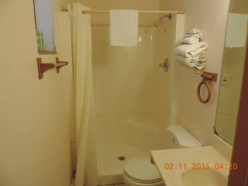 Imagen de la habitación del Motel Gratiot View. Foto 10