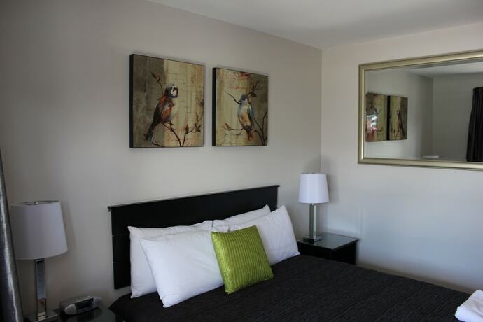 Imagen de la habitación del Motel Greyfriars, Greytown. Foto 13
