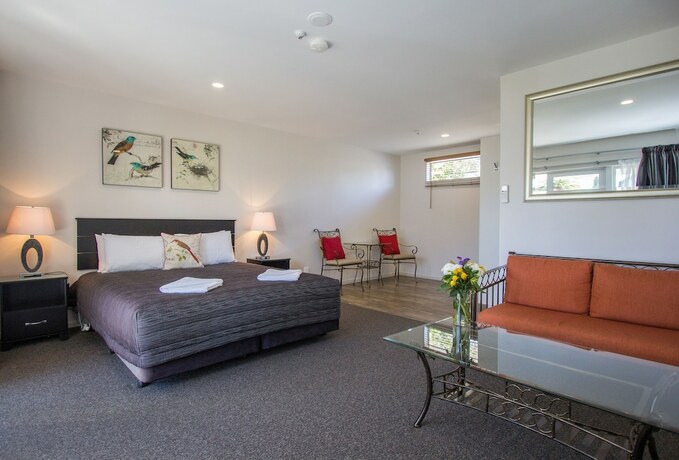 Imagen de la habitación del Motel Greyfriars, Greytown. Foto 16