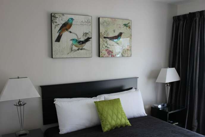 Imagen de la habitación del Motel Greyfriars, Greytown. Foto 25