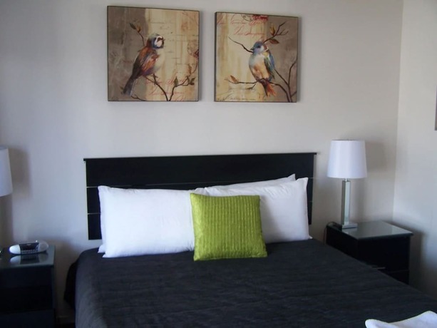 Imagen de la habitación del Motel Greyfriars, Greytown. Foto 30