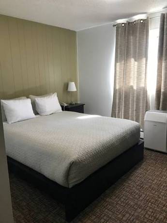 Imagen de la habitación del Motel Grizzly. Foto 5