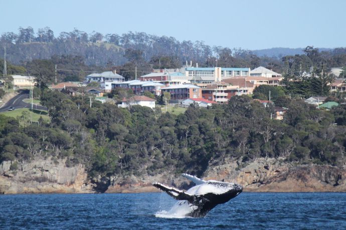 Imagen de los interiores del Motel Heritage House And Units. Foto 16