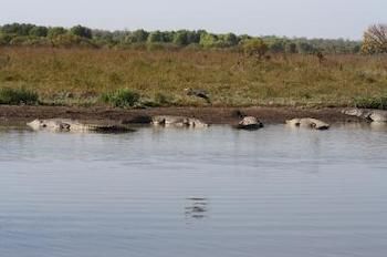 Imagen de los exteriores del Motel Hi Way Inn. Foto 8