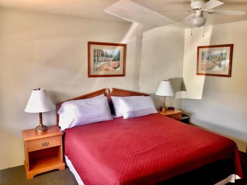 Imagen de la habitación del Motel Hiouchi. Foto 2