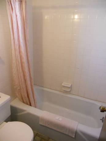 Imagen de la habitación del Motel Homestead, Branson. Foto 8
