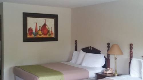 Imagen de la habitación del Motel Homestead, Branson. Foto 11