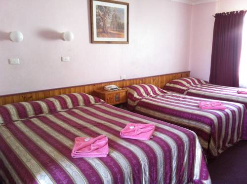 Imagen de la habitación del Motel Homestead, Dubbo. Foto 2