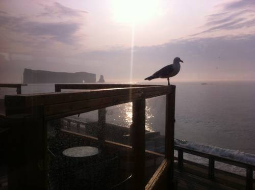 Imagen de la habitación del Motel Hotel Fleur De Lys, Perc&eacute;. Foto 2