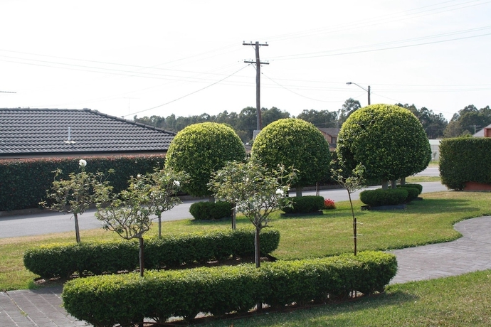 Imagen de los exteriores del Motel Hunter Valley Travellers Rest. Foto 13