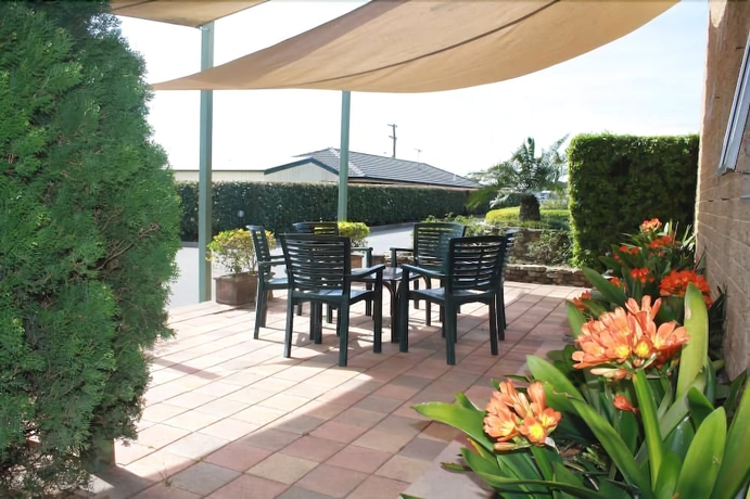 Imagen de los exteriores del Motel Hunter Valley Travellers Rest. Foto 17