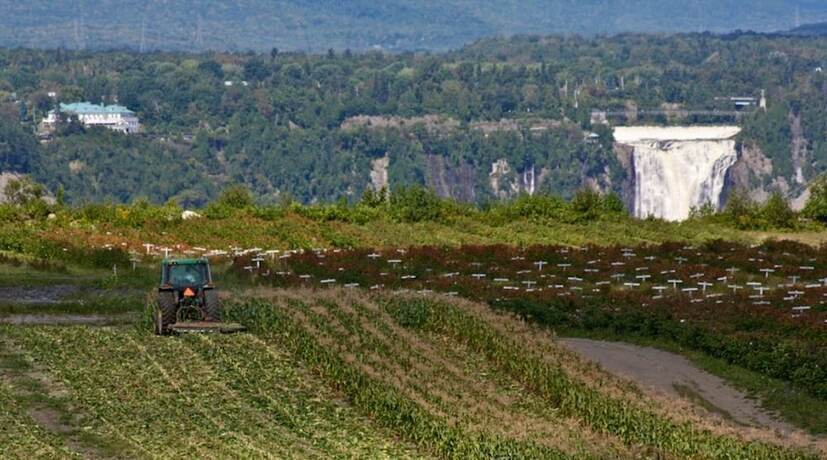 Imagen general del Motel &Icirc;le D'orl&eacute;ans. Foto 2
