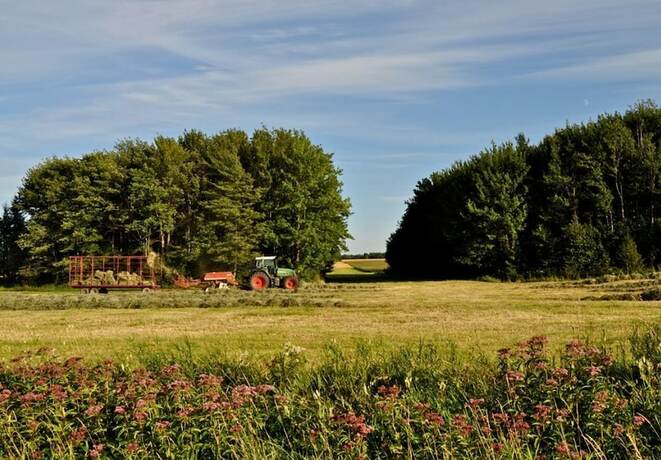 Imagen general del Motel &Icirc;le D'orl&eacute;ans. Foto 3