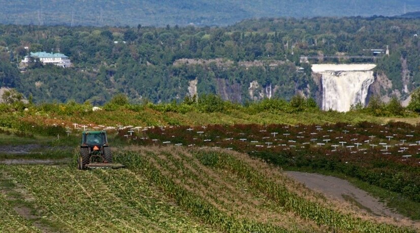 Imagen de la habitación del Motel &Icirc;le D'orl&eacute;ans. Foto 24