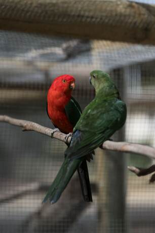 Imagen general del Motel Inglewood and Caravan Park. Foto 4