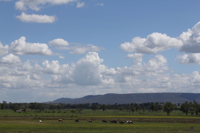 Imagen de los exteriores del Motel Isis Scone. Foto 14