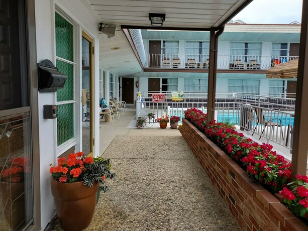 Imagen general del Motel Ivan Hoe. Foto 1