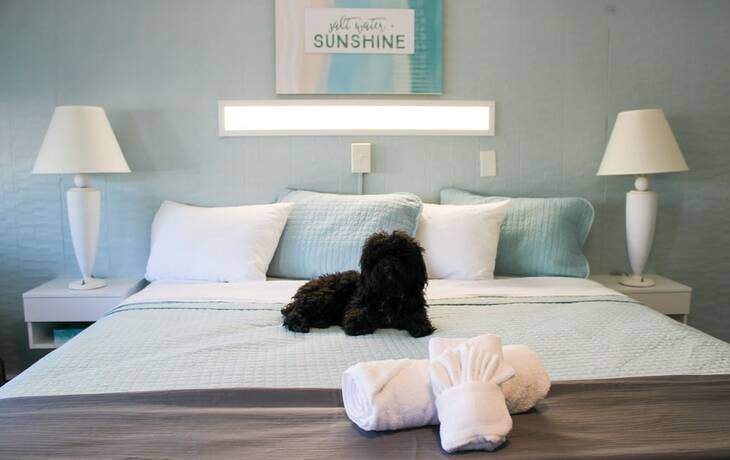 Imagen general del Motel Janmere. Foto 2