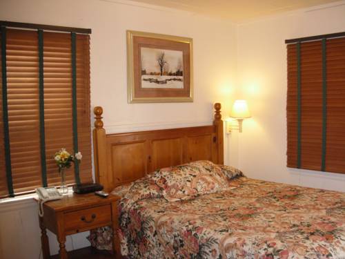 Imagen de la habitación del Motel Jumping Frog. Foto 6