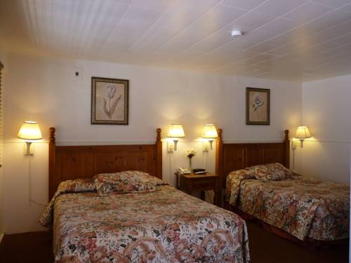 Imagen de la habitación del Motel Jumping Frog. Foto 13