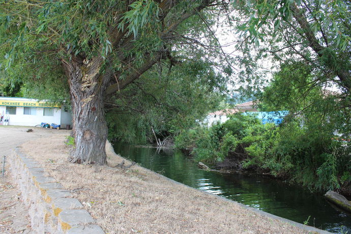 Imagen de los exteriores del Motel Kokanee Beach Resort. Foto 12