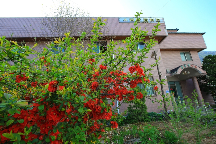 Imagen de los exteriores del Motel Kumkwangjang. Foto 17