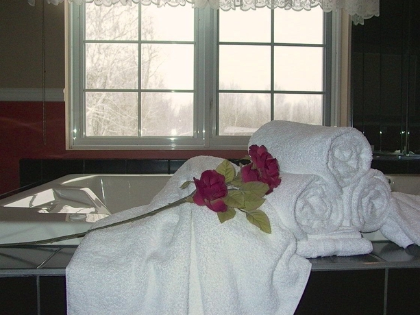 Imagen de la habitación del Motel La Cheminee. Foto 9