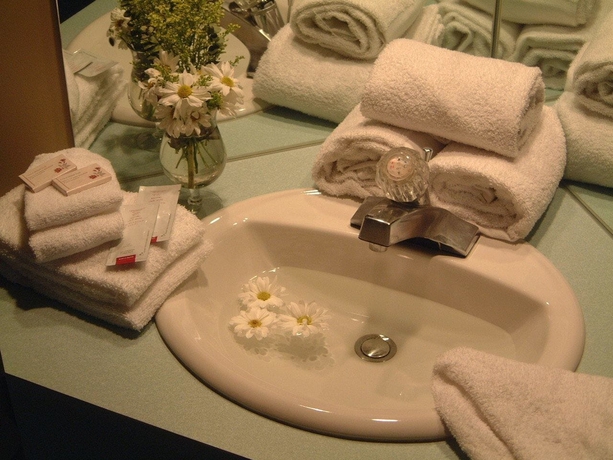 Imagen de la habitación del Motel La Cheminee. Foto 10