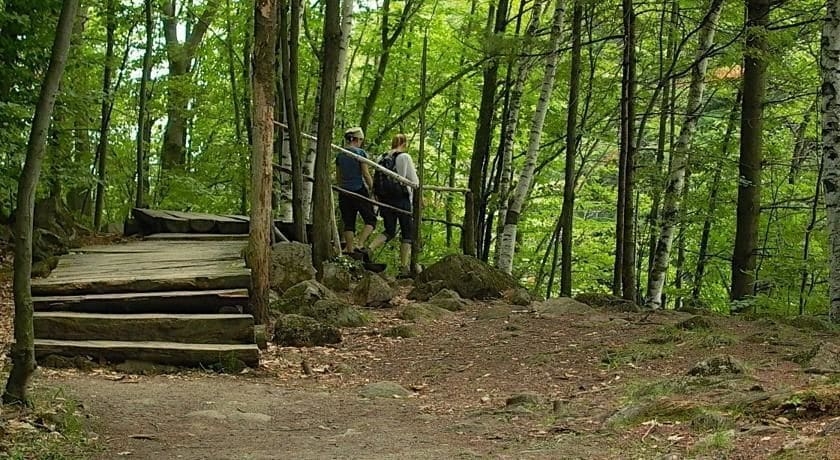 Imagen de los exteriores del Motel La Cheminee. Foto 19