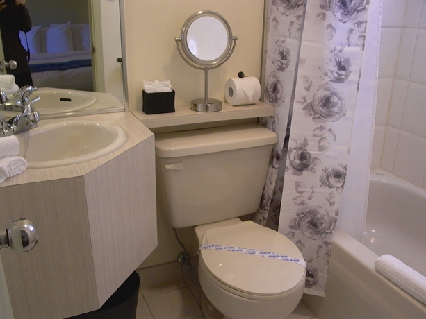 Imagen de la habitación del Motel La Cheminee. Foto 17