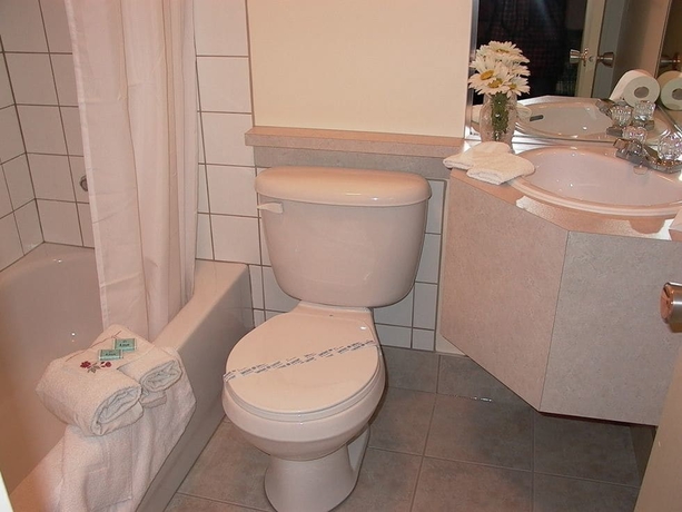 Imagen de la habitación del Motel La Cheminee. Foto 18